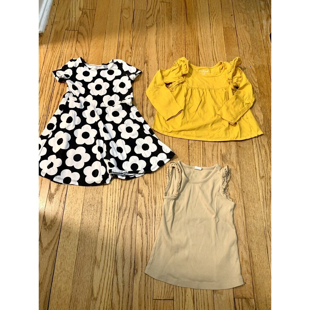 Toddler Girls 4T Clothes: Dress, Longsleeve Blouse and Short Sleeve Blouse